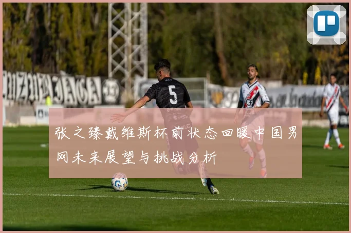 张之臻戴维斯杯前状态回暖中国男网未来展望与挑战分析